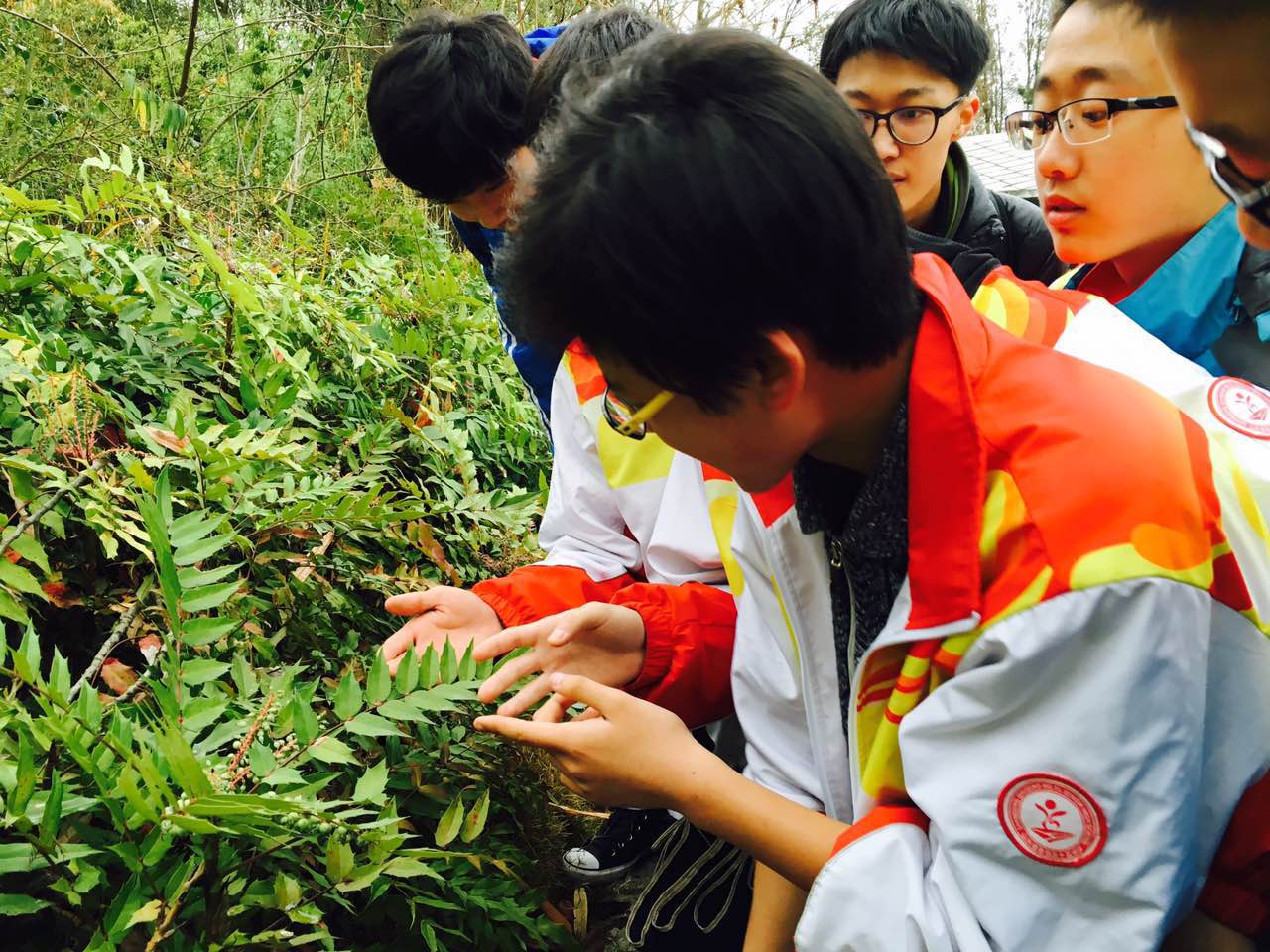 黄果树瀑布1.JPG